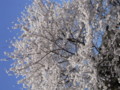 20090407134316
