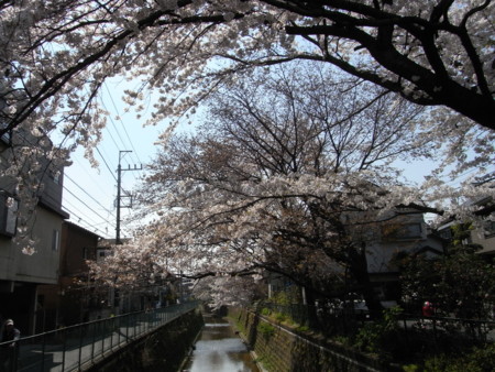 f:id:satoru_net:20090407134459j:image