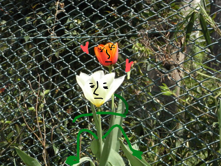 f:id:satoru_net:20090407134612j:image