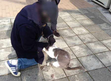 f:id:satoru_net:20130105102956p:image