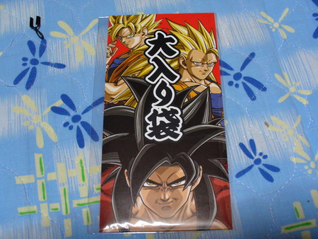 f:id:satorud:20050614192117:image f:id:satorud:20050614192117:image