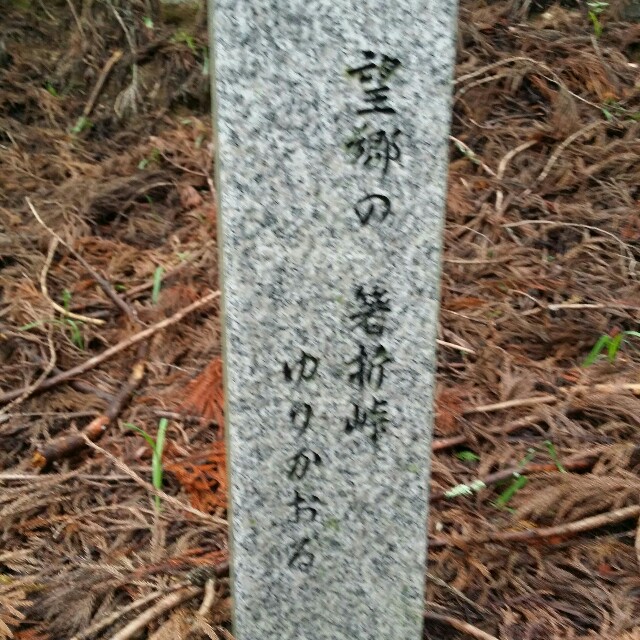 f:id:satorukamoshida:20170717065825j:image f:id:satorukamoshida:20170717065825j:image
