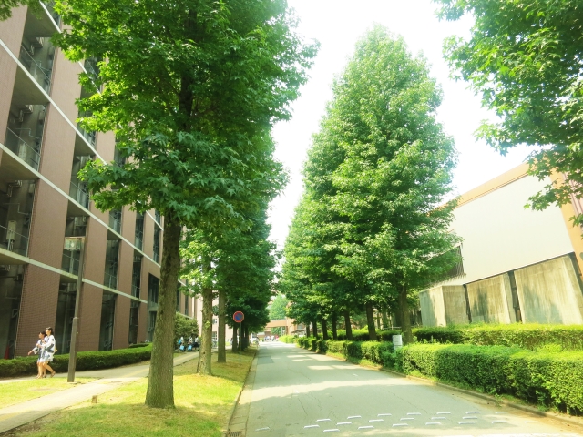 f:id:satoruob:20180521214553j:plain f:id:satoruob:20180521214553j:plain