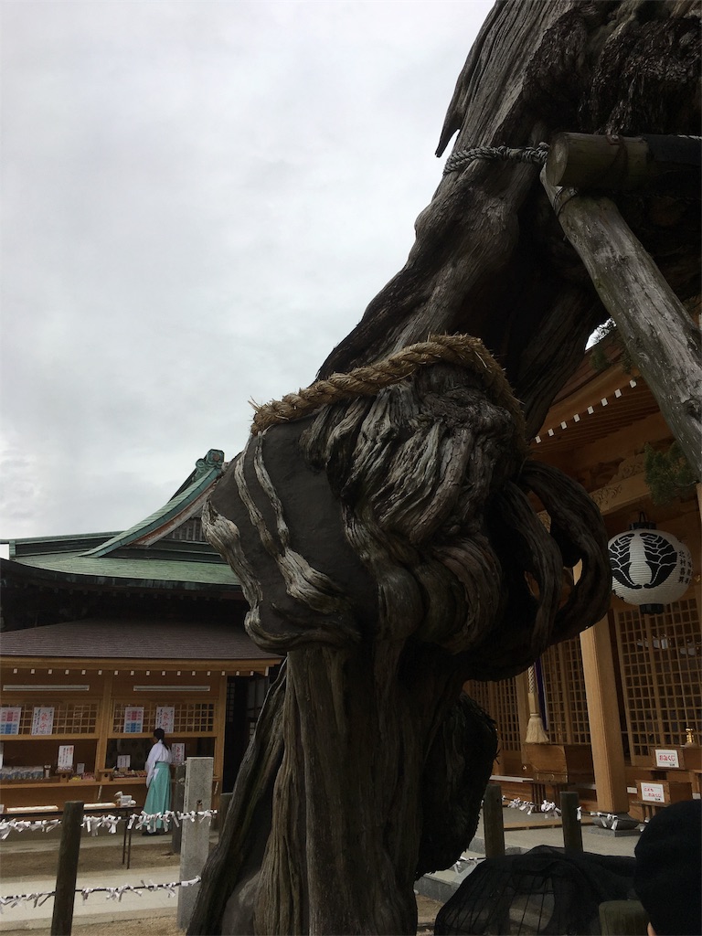 f:id:satoruriko:20180108164150j:image