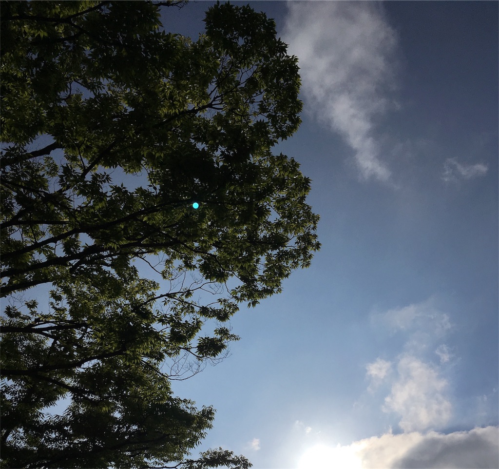 f:id:satoruriko:20180616085901j:image f:id:satoruriko:20180616085901j:image