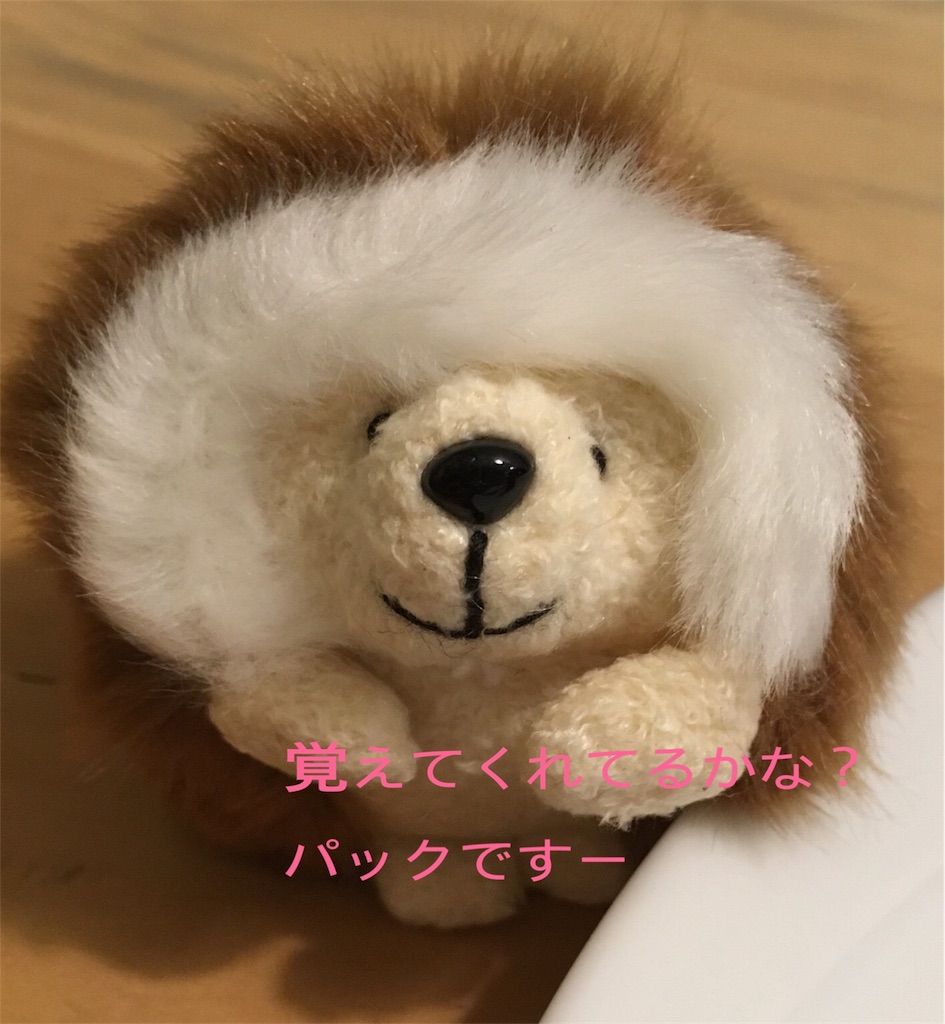 f:id:satoruriko:20180814150539j:image