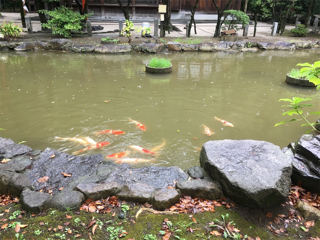 f:id:satoruriko:20180901155206j:image f:id:satoruriko:20180901155206j:image