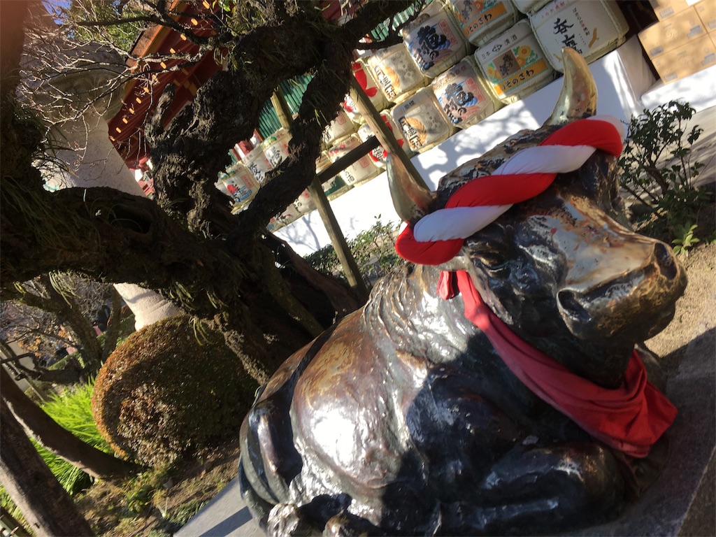 f:id:satoruriko:20190106154349j:image f:id:satoruriko:20190106154349j:image