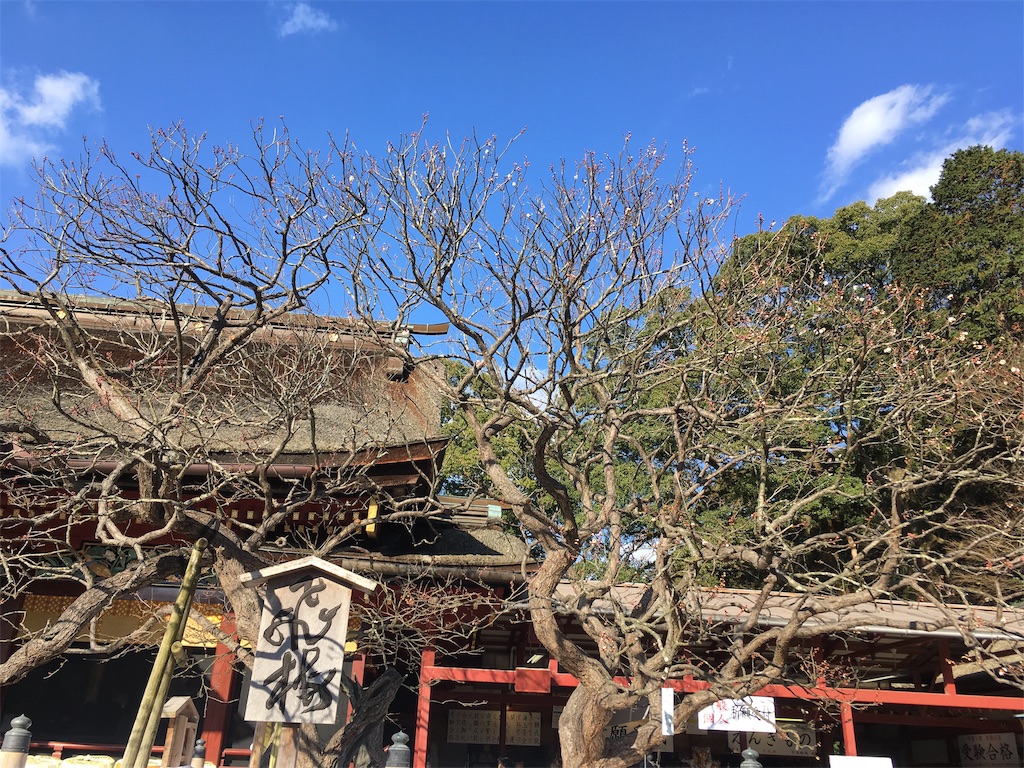 f:id:satoruriko:20190106154542j:image f:id:satoruriko:20190106154542j:image