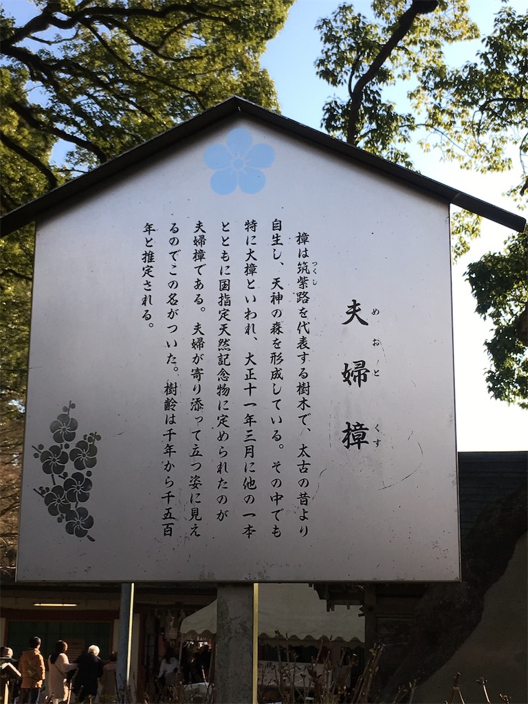 f:id:satoruriko:20190106154750j:image f:id:satoruriko:20190106154750j:image