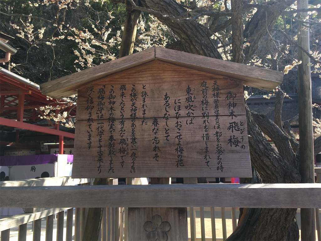 f:id:satoruriko:20210304134251j:image f:id:satoruriko:20210304134251j:image