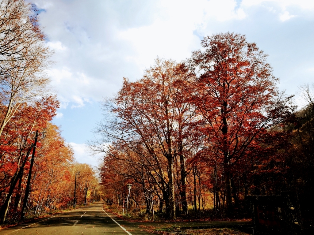 f:id:satoryoki:20171113001316j:plain f:id:satoryoki:20171113001316j:plain