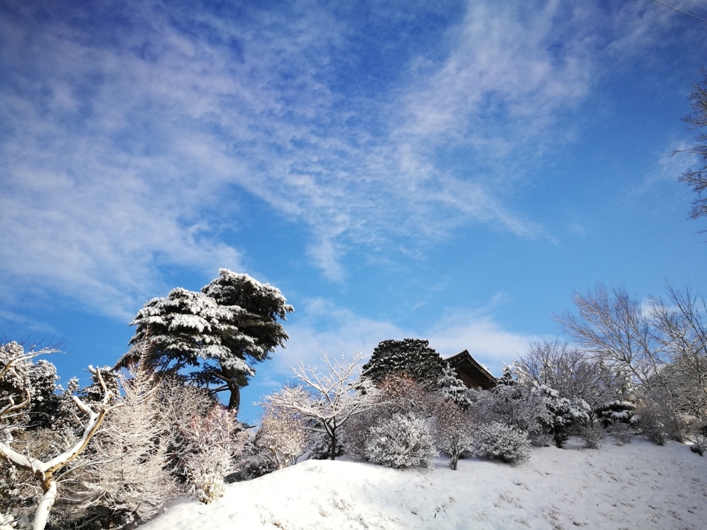 f:id:satoryoki:20180129163635j:plain f:id:satoryoki:20180129163635j:plain