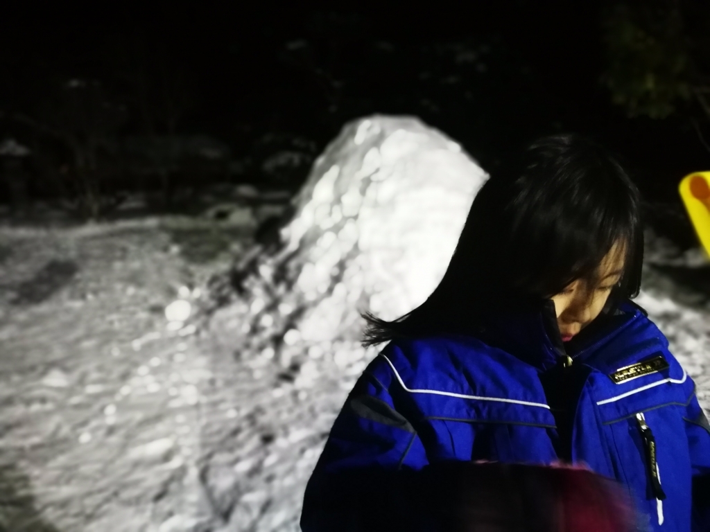 f:id:satoryoki:20180129195803j:plain