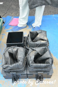 f:id:satosee:20151107214207j:plain f:id:satosee:20151107214207j:plain