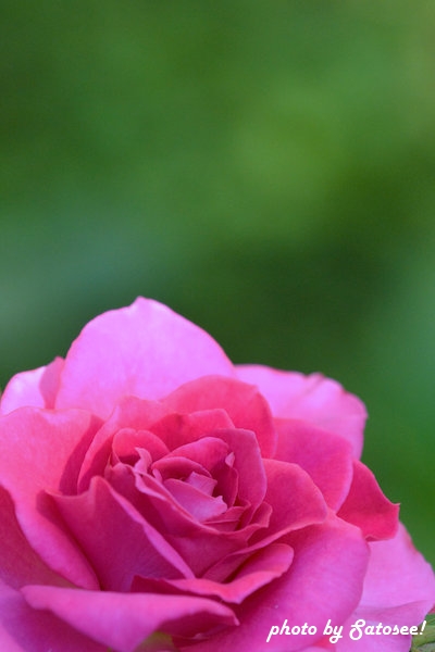 f:id:satosee:20160802205843j:plain f:id:satosee:20160802205843j:plain