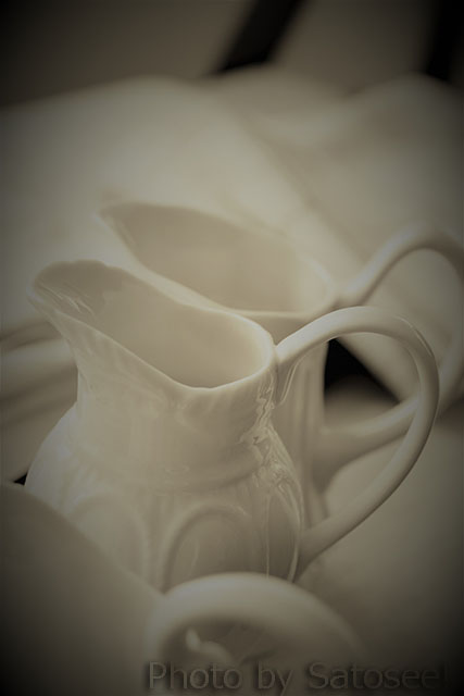 f:id:satosee:20170127205234j:plain f:id:satosee:20170127205234j:plain