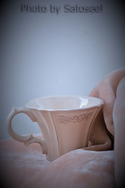 f:id:satosee:20170221222447j:plain f:id:satosee:20170221222447j:plain