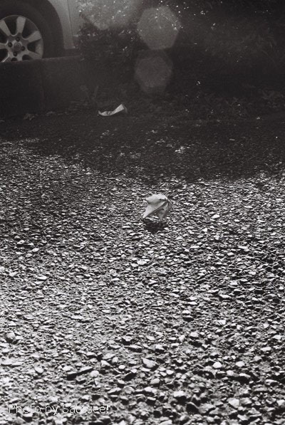 f:id:satosee:20171108205956j:plain f:id:satosee:20171108205956j:plain