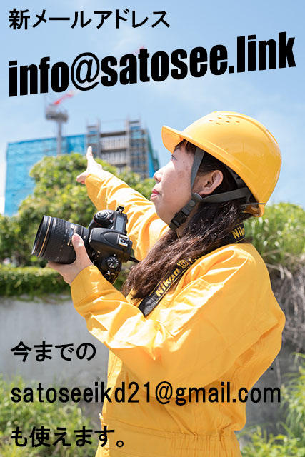 f:id:satosee:20180212204317j:plain f:id:satosee:20180212204317j:plain