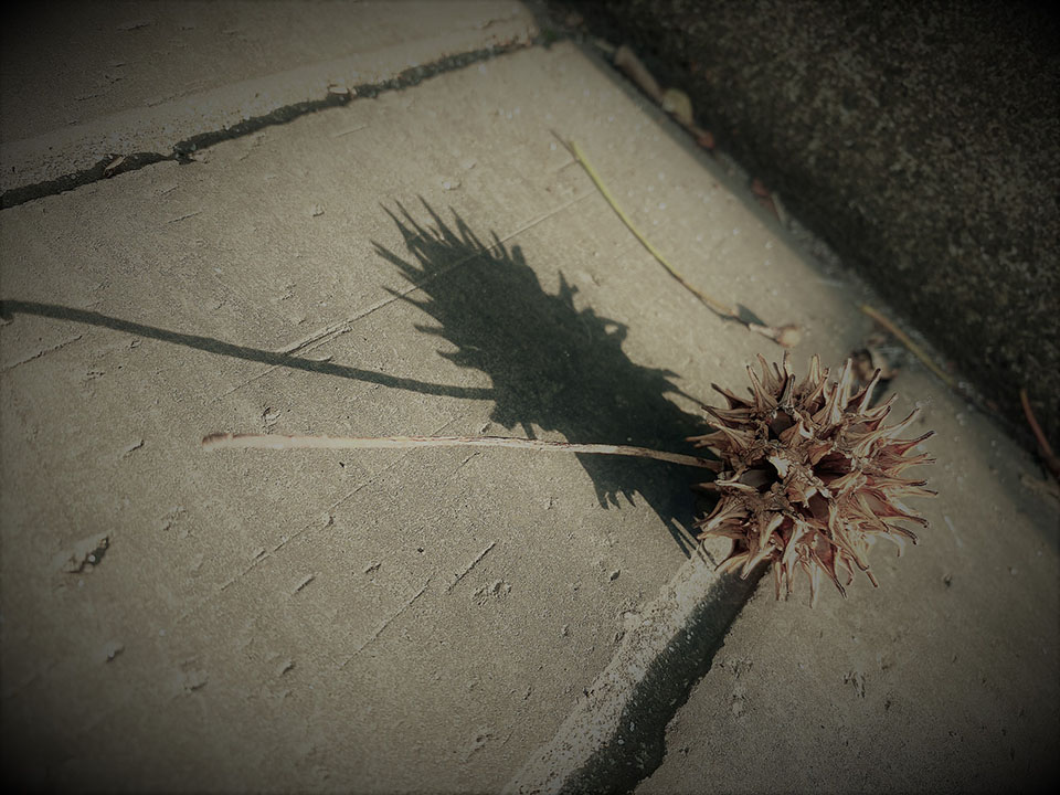 f:id:satosee:20210327185157j:plain