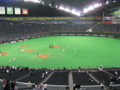 [野球観戦]2009日本シリーズ札幌ドーム8