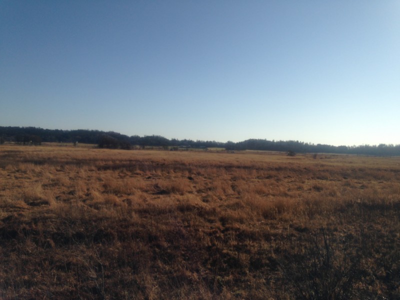 f:id:satoshi05:20151116085314j:image:w360