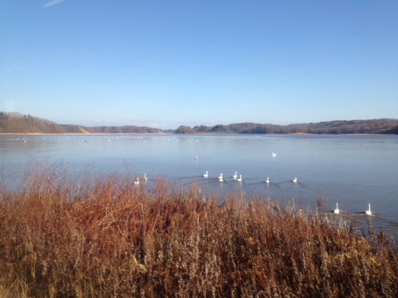f:id:satoshi05:20151116090706j:image:w360