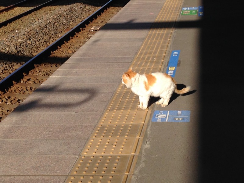 f:id:satoshi05:20151218134211j:image:w360