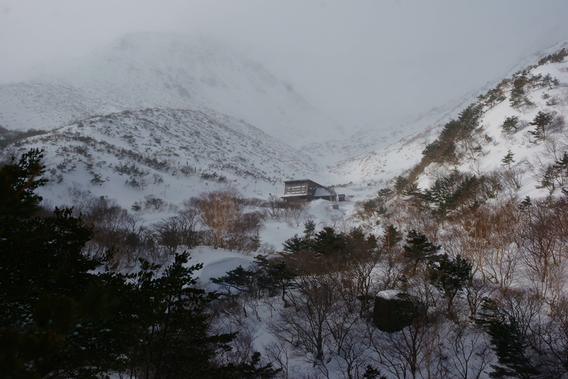 f:id:satoshi211:20190210093239j:plain