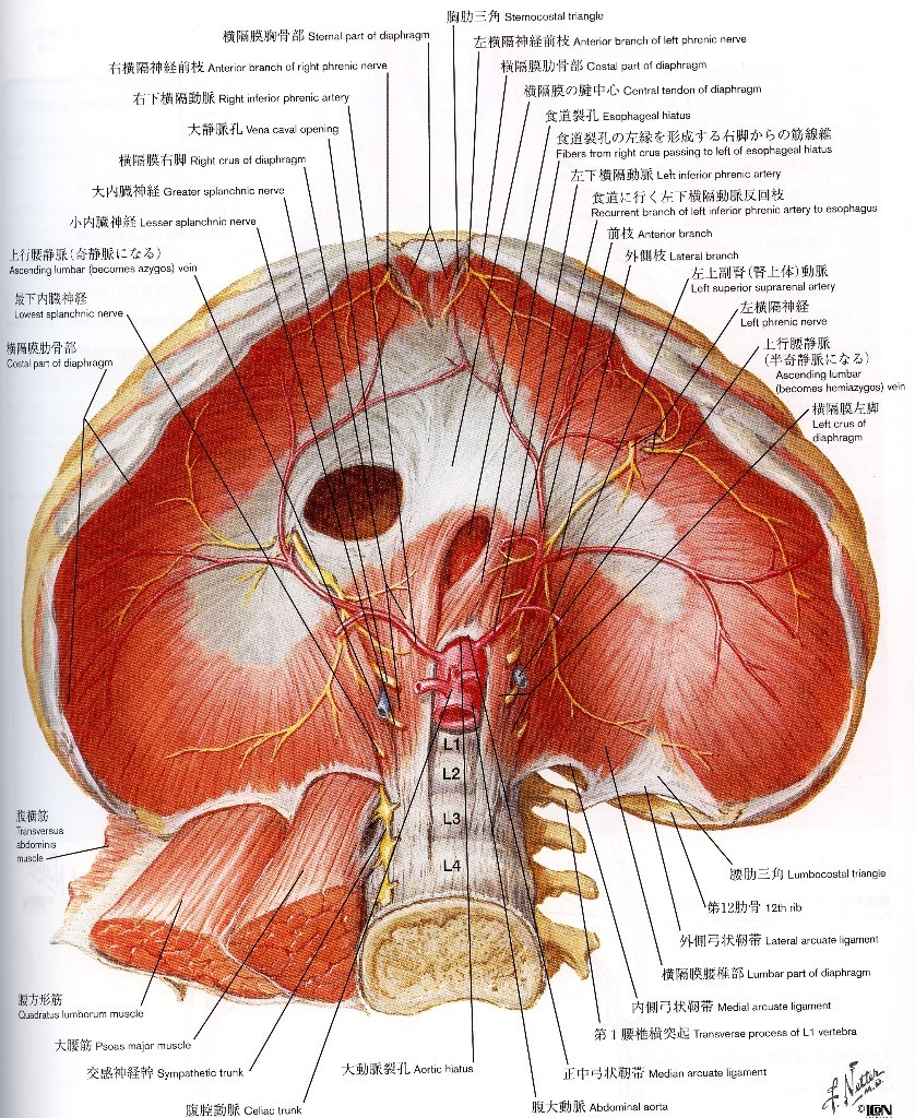 f:id:satoshi22:20161130233310j:plain