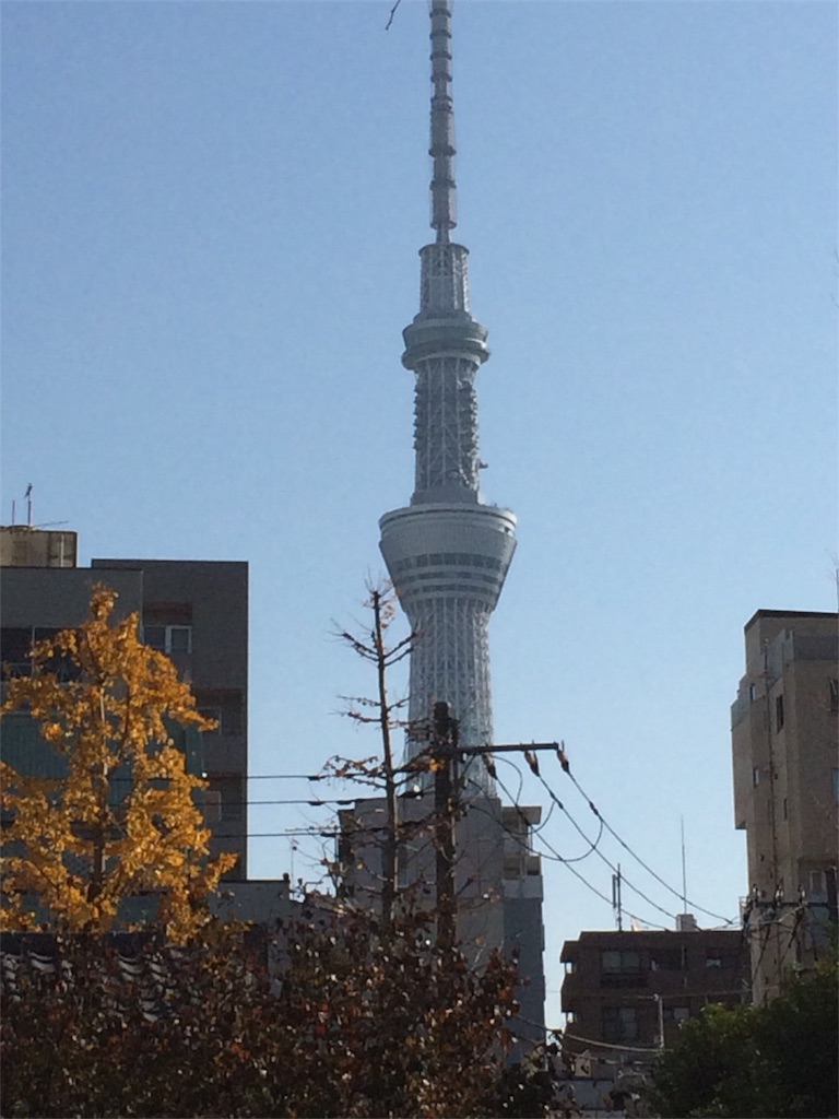 f:id:satoshi5671:20170108160502j:image f:id:satoshi5671:20170108160502j:image