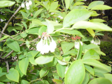 f:id:satoshi65:20140428102902j:image