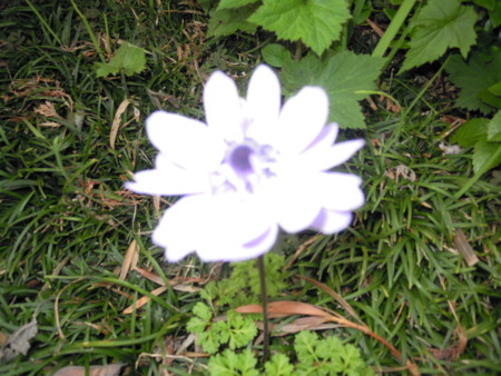 f:id:satoshi65:20140428102915j:image