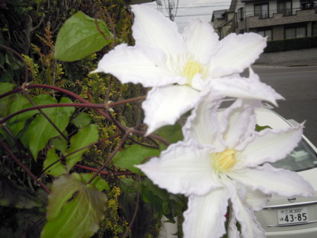 f:id:satoshi65:20140428102930j:image