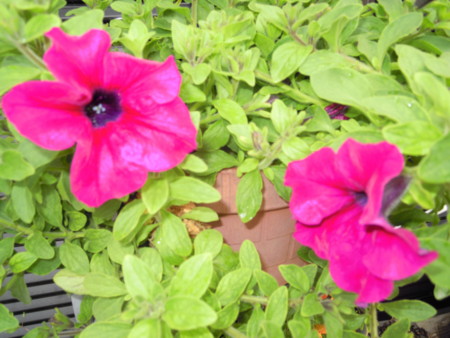 f:id:satoshi65:20140428102957j:image