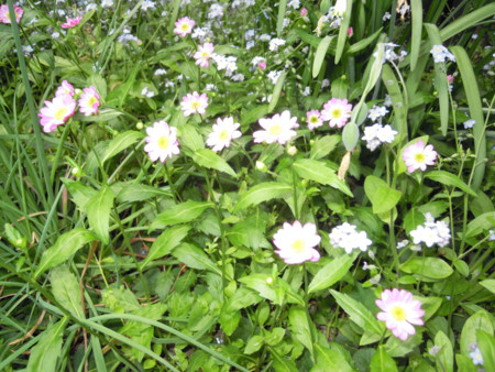 f:id:satoshi65:20140428103028j:image