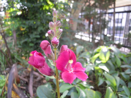 f:id:satoshi65:20151212104958j:image f:id:satoshi65:20151212104958j:image
