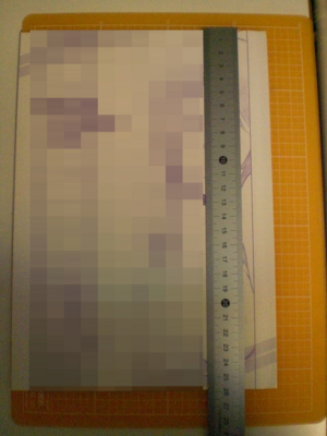 f:id:satoshi_cs12:20110504132715j:image:left