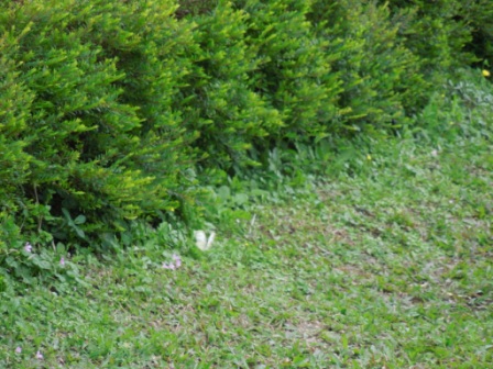 f:id:satoshi_cs12:20120306094721j:image f:id:satoshi_cs12:20120306094721j:image