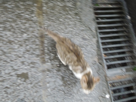 f:id:satoshi_cs12:20120306094728j:image f:id:satoshi_cs12:20120306094728j:image