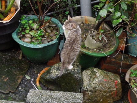 f:id:satoshi_cs12:20120306094729j:image f:id:satoshi_cs12:20120306094729j:image