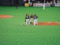 f:id:satoshi_cs12:20120311213359j:image:small