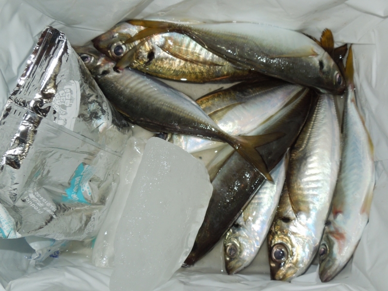 f:id:satoshi_cs12:20130922182844j:plain f:id:satoshi_cs12:20130922182844j:plain