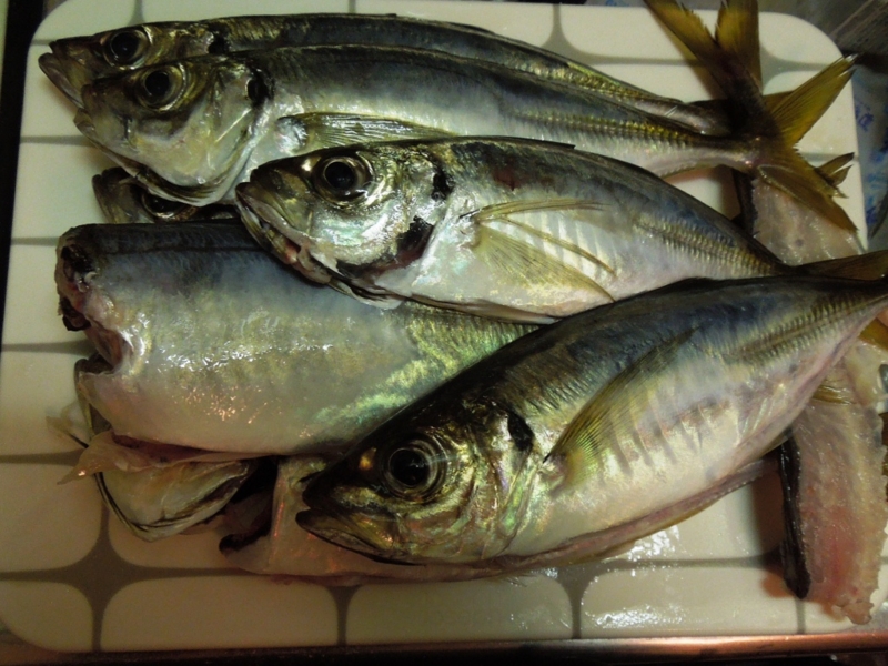 f:id:satoshi_cs12:20130922191653j:plain f:id:satoshi_cs12:20130922191653j:plain