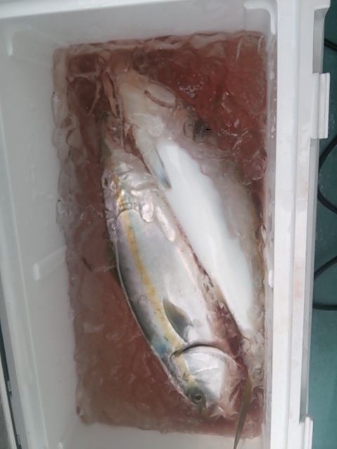 f:id:satoshi_cs12:20141025075819j:plain