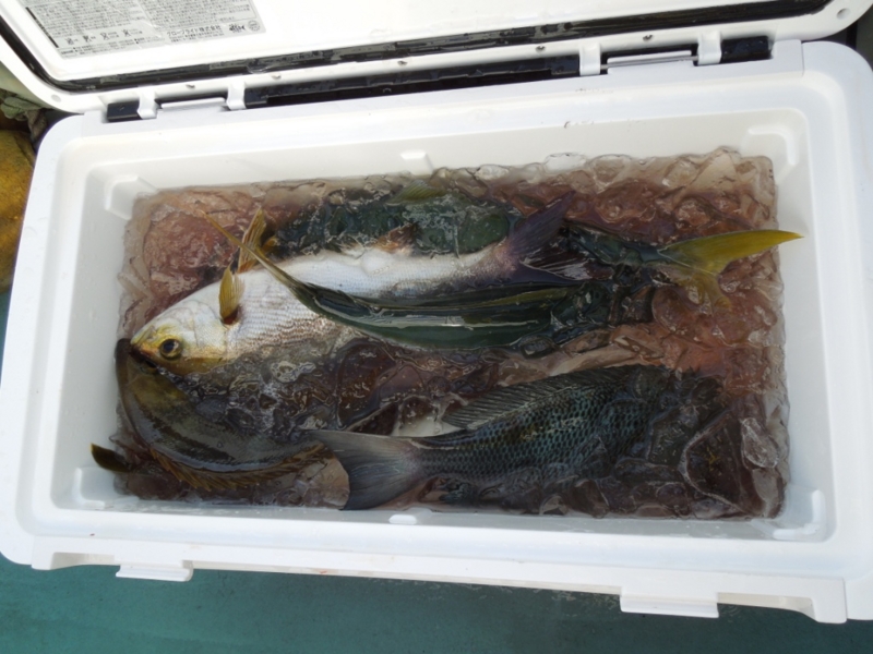 f:id:satoshi_cs12:20141025091741j:plain