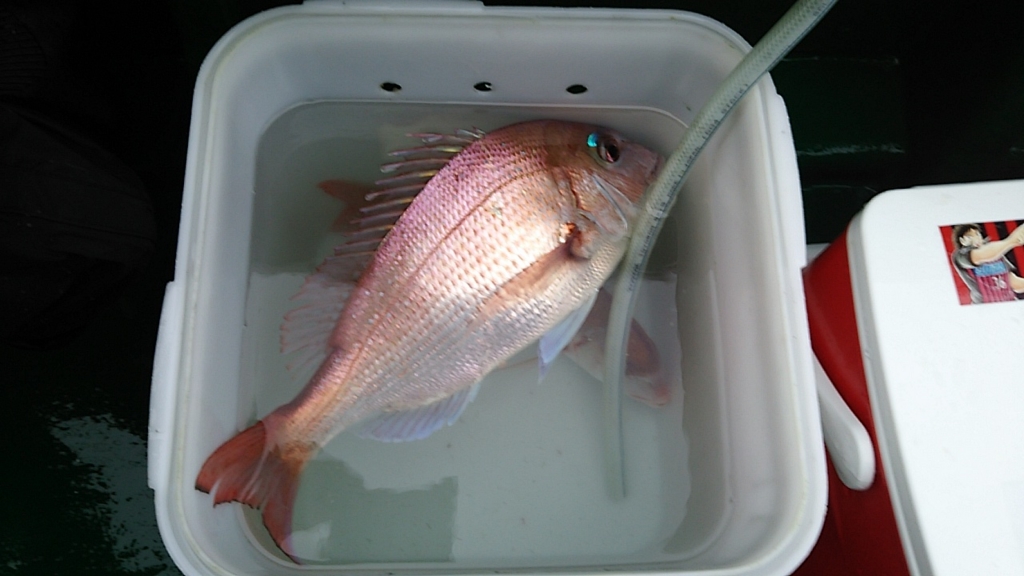 f:id:satoshi_cs12:20151010154056j:plain