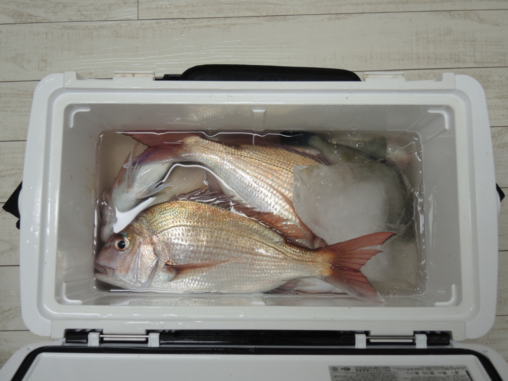 f:id:satoshi_cs12:20151010211656j:plain