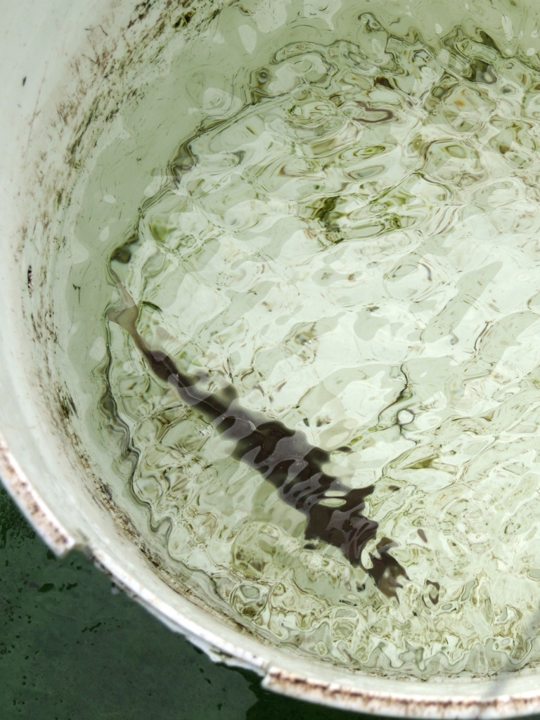 f:id:satoshi_cs12:20160305133848j:plain